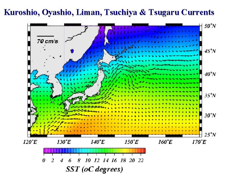 Kuroshio, Oyashio, Liman, Tsuchiya & Tsugaru Currents 