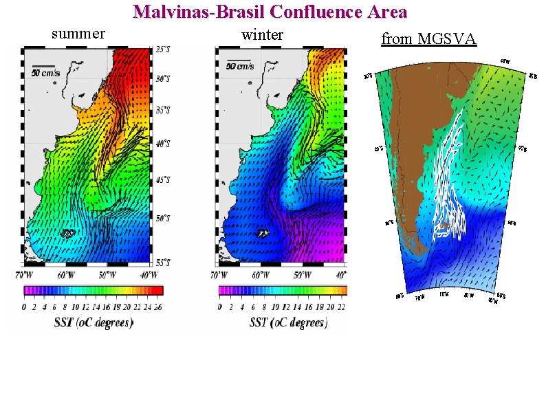 Malvinas-Brasil Confluence Area summer winter from MGSVA 