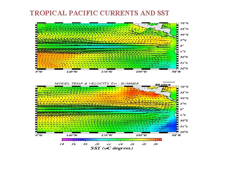 TROPICAL PACIFIC CURRENTS AND SST 