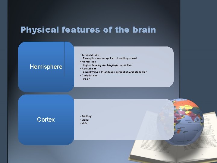 Physical features of the brain Hemisphere Cortex • Temporal lobe • Perception and recognition