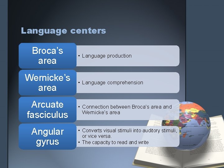 Language centers Broca’s area Wernicke’s area Arcuate fasciculus Angular gyrus • Language production •