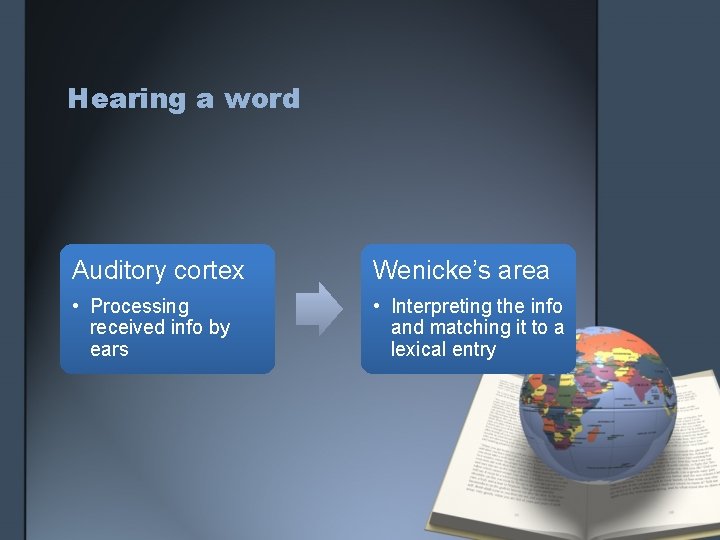 Hearing a word Auditory cortex Wenicke’s area • Processing received info by ears • Hearing a word Auditory cortex Wenicke’s area • Processing received info by ears •