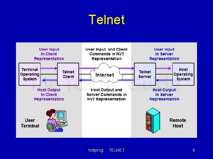 Telnet Netprog: TELNET 8 