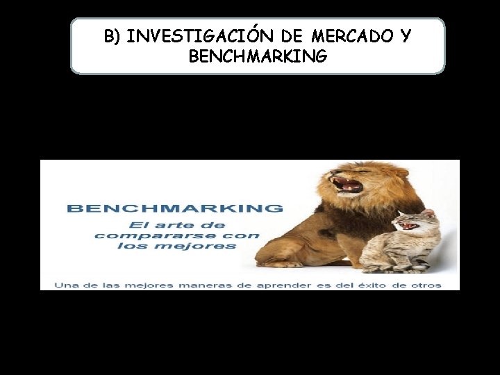 B) INVESTIGACIÓN DE MERCADO Y BENCHMARKING 