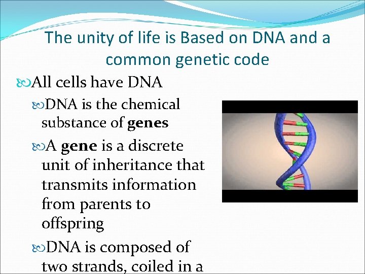 The unity of life is Based on DNA and a common genetic code All