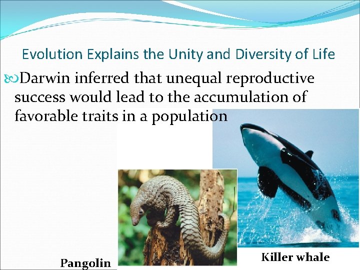 Evolution Explains the Unity and Diversity of Life Darwin inferred that unequal reproductive success