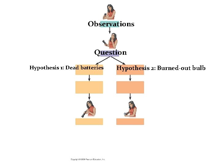 Observations Question Hypothesis 1: Dead batteries Hypothesis 2: Burned-out bulb 