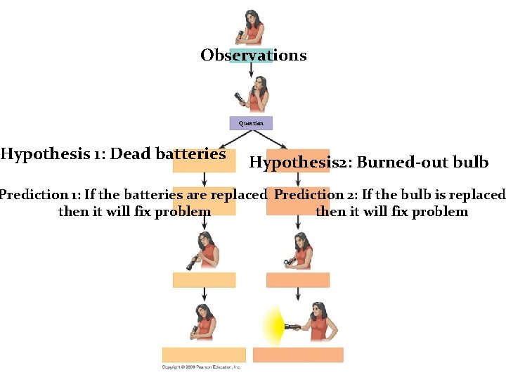 Observations Hypothesis 1: Dead batteries Question Hypothesis 2: Burned-out bulb Prediction 1: If the