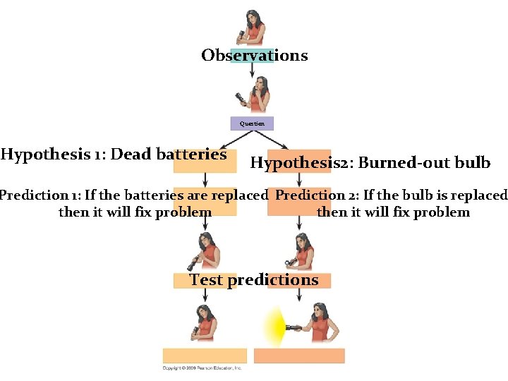 Observations Question Hypothesis 1: Dead batteries Hypothesis 2: Burned-out bulb Prediction 1: If the