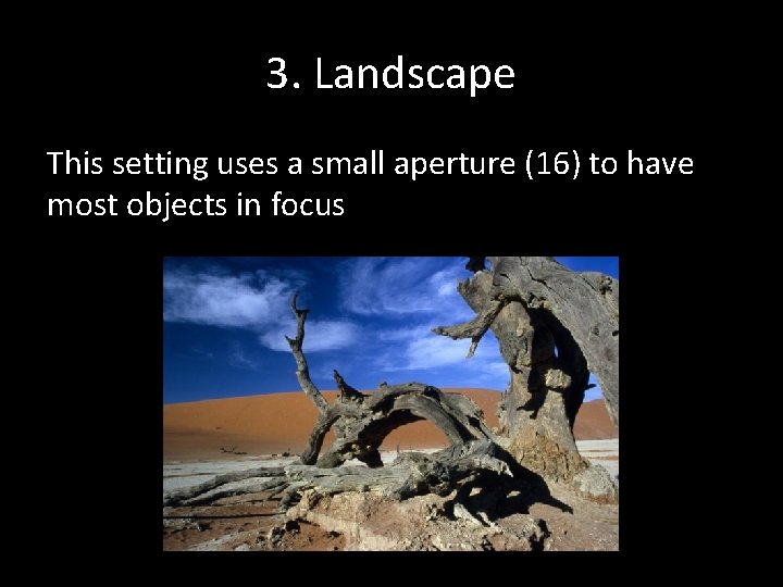 3. Landscape This setting uses a small aperture (16) to have most objects in