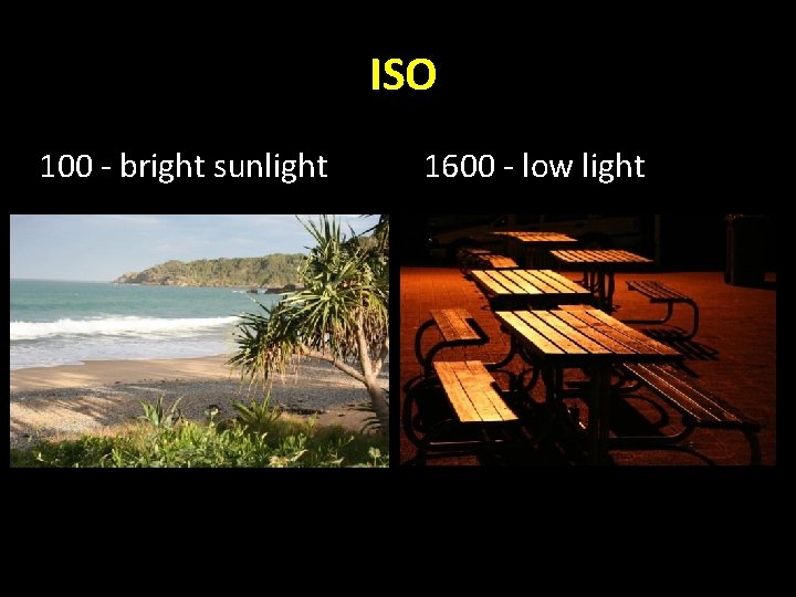 ISO 100 - bright sunlight 1600 - low light 