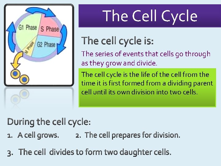 The Cell Cycle The series of events that cells go through as they grow