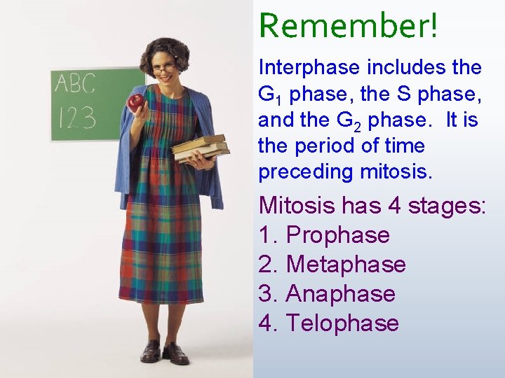 Remember! Interphase includes the G 1 phase, the S phase, and the G 2