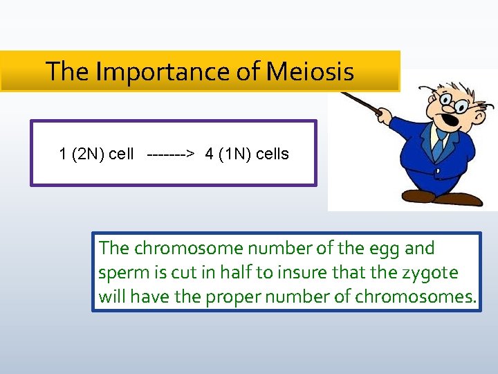 The Importance of Meiosis 1 (2 N) cell -------> 4 (1 N) cells The