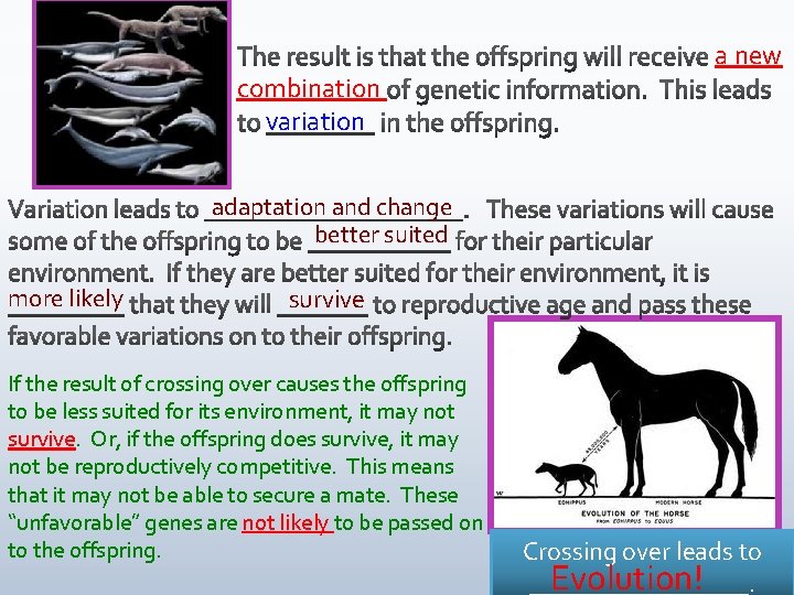 combination variation a new adaptation and change better suited more likely survive If the