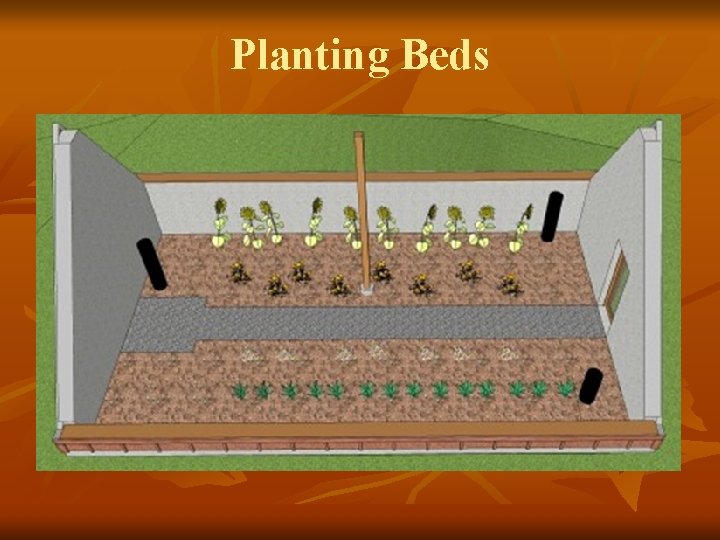Planting Beds 