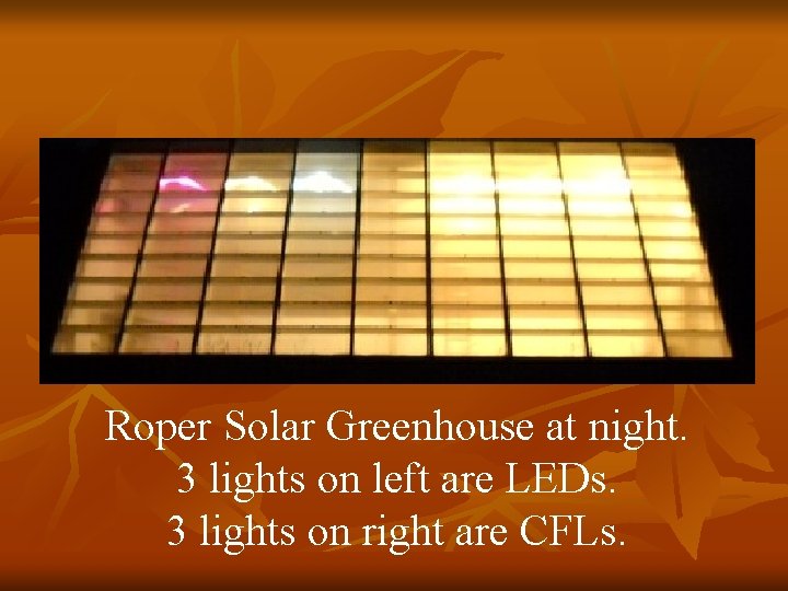 Roper Solar Greenhouse at night. 3 lights on left are LEDs. 3 lights on