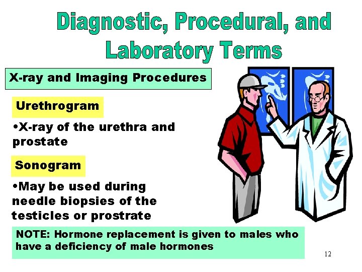 X-Ray and Imaging X-ray and Imaging Procedures Urethrogram • X-ray of the urethra and