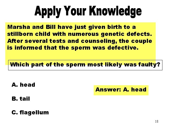 Apply Your Knowledge Part 2 Marsha and Bill have just given birth to a