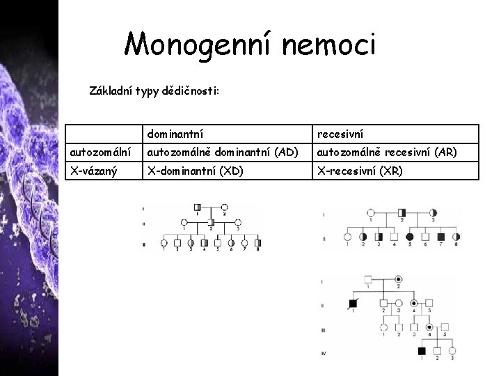 Monogenní nemoci Základní typy dědičnosti: dominantní recesivní autozomálně dominantní (AD) autozomálně recesivní (AR) X-vázaný