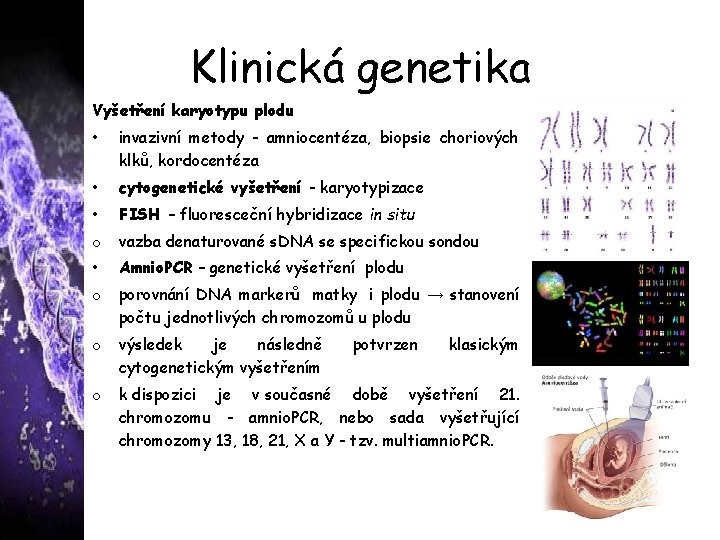 Klinická genetika Vyšetření karyotypu plodu • invazivní metody - amniocentéza, biopsie choriových klků, kordocentéza