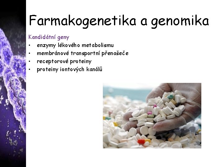 Farmakogenetika a genomika Kandidátní geny • enzymy lékového metabolismu • membránové transportní přenašeče •