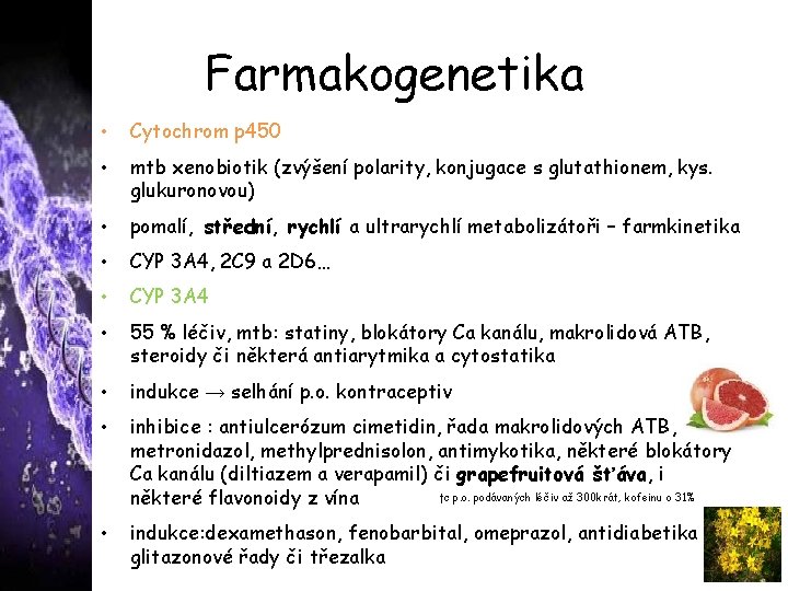 Farmakogenetika • Cytochrom p 450 • mtb xenobiotik (zvýšení polarity, konjugace s glutathionem, kys.