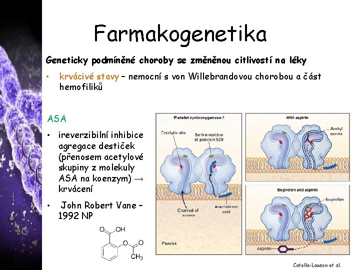 Farmakogenetika Geneticky podmíněné choroby se změněnou citlivostí na léky • krvácivé stavy – nemocní