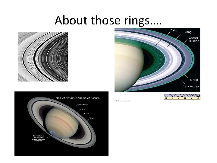 About those rings…. 