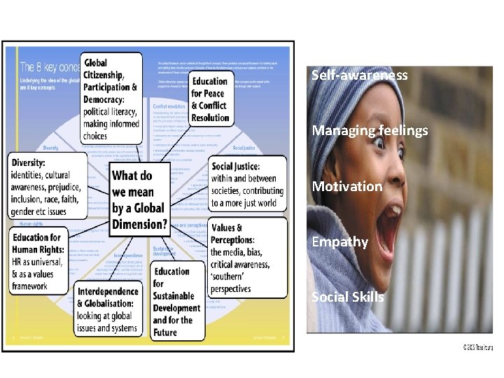 Self-awareness Managing feelings Motivation Empathy Social Skills 