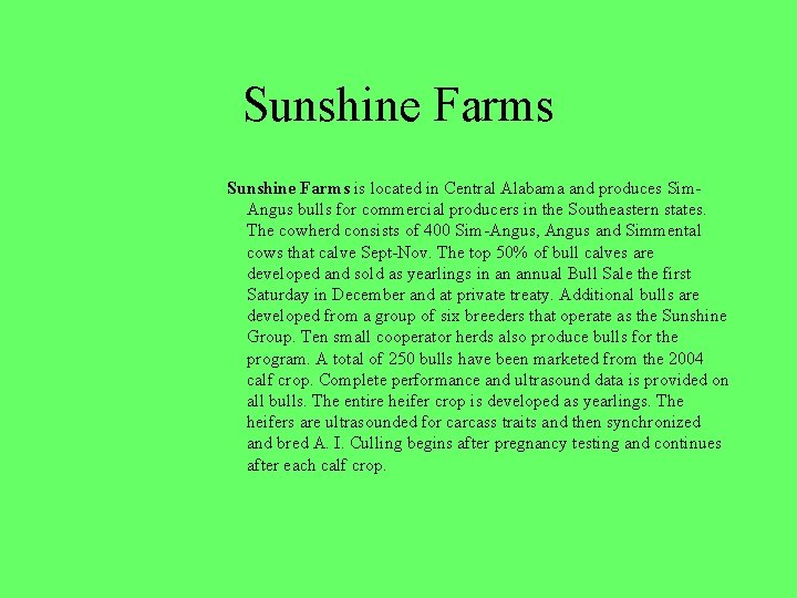 Sunshine Farms is located in Central Alabama and produces Sim. Angus bulls for commercial