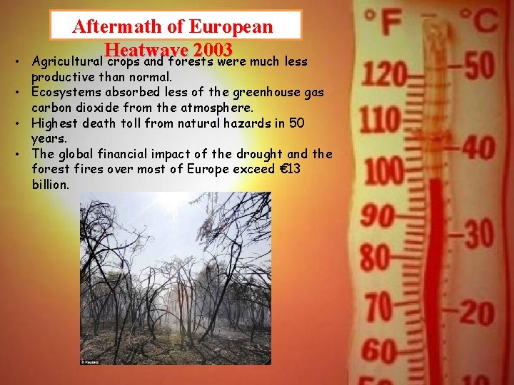 • Aftermath of European Heatwave 2003 Agricultural crops and forests were much less • Aftermath of European Heatwave 2003 Agricultural crops and forests were much less