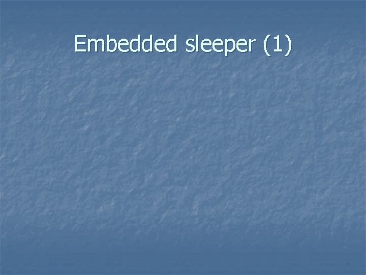 Embedded sleeper (1) 