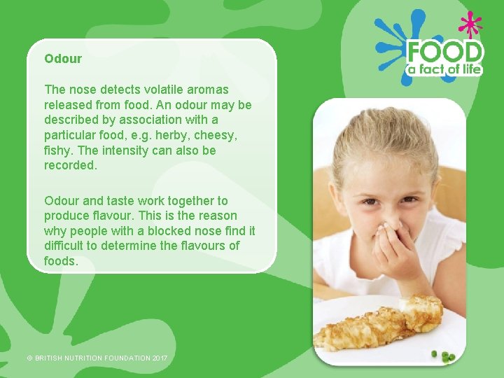 Odour The nose detects volatile aromas released from food. An odour may be described