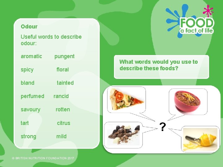 Odour Useful words to describe odour: aromatic pungent spicy floral bland tainted perfumed rancid