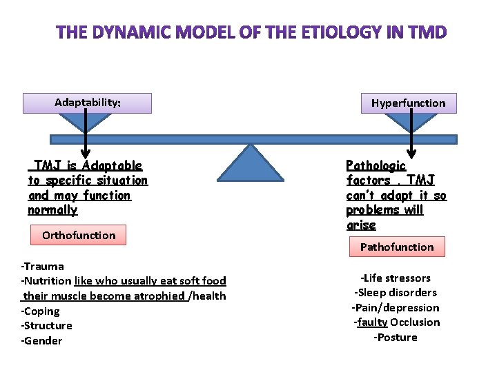 Adaptability: TMJ is Adaptable to specific situation and may function normally Orthofunction -Trauma -Nutrition