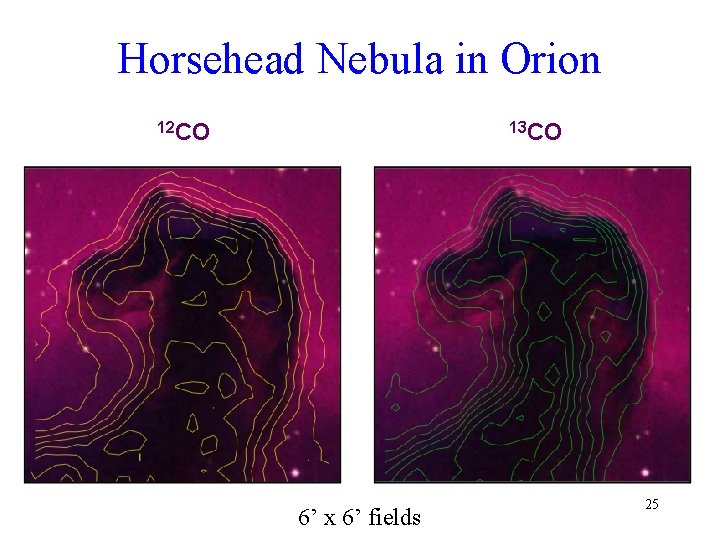 Horsehead Nebula in Orion 12 CO 13 CO 6’ x 6’ fields 25 