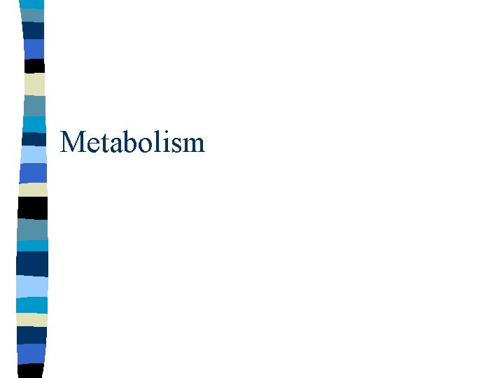 Metabolism 