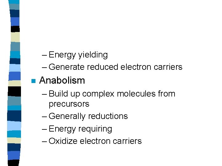 – Energy yielding – Generate reduced electron carriers n Anabolism – Build up complex