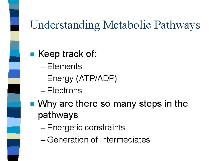 Understanding Metabolic Pathways n Keep track of: – Elements – Energy (ATP/ADP) – Electrons