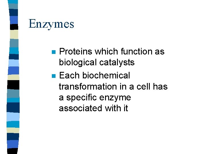 Enzymes n n Proteins which function as biological catalysts Each biochemical transformation in a