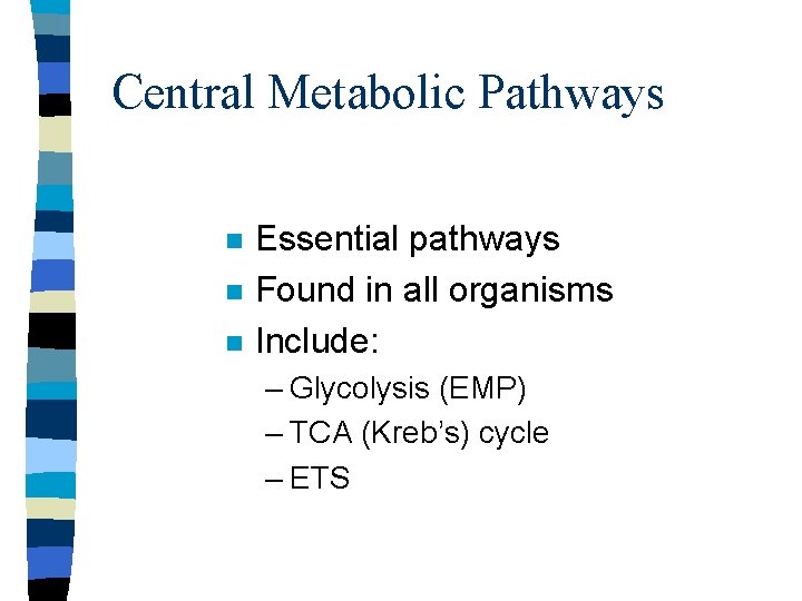 Central Metabolic Pathways n n n Essential pathways Found in all organisms Include: –