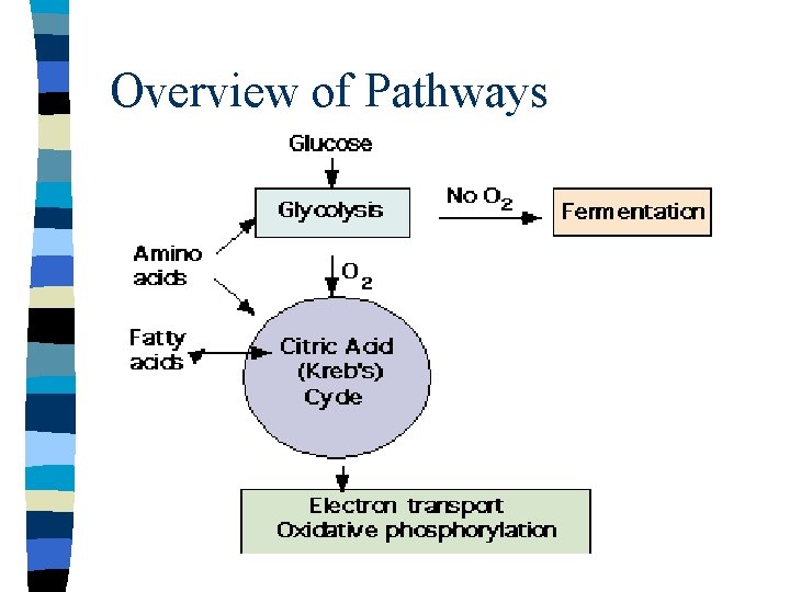 Overview of Pathways 