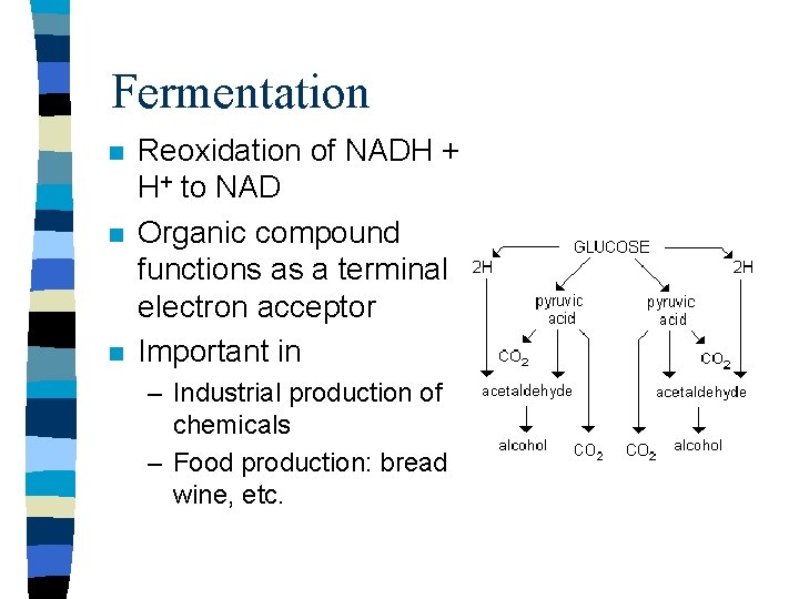 Fermentation n Reoxidation of NADH + H+ to NAD Organic compound functions as a