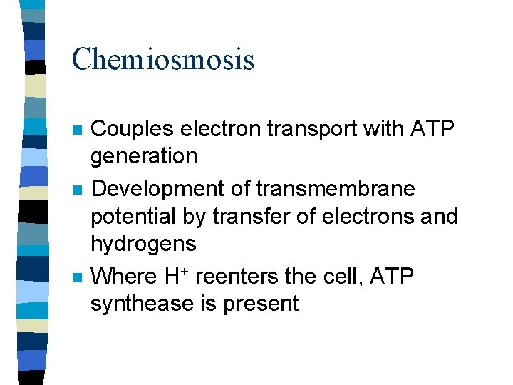 Chemiosmosis n n n Couples electron transport with ATP generation Development of transmembrane potential