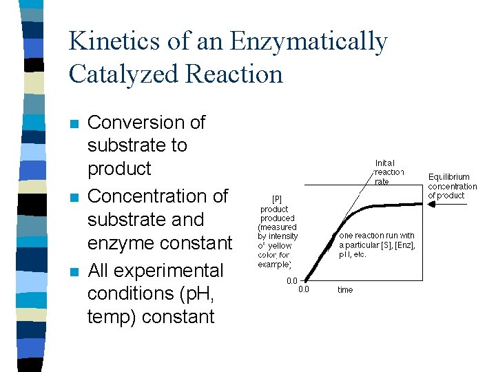 Kinetics of an Enzymatically Catalyzed Reaction n Conversion of substrate to product Concentration of