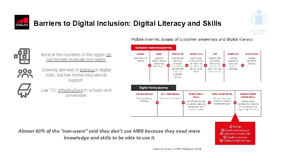 Barriers to Digital Inclusion: Digital Literacy and Skills Most of the countries in the