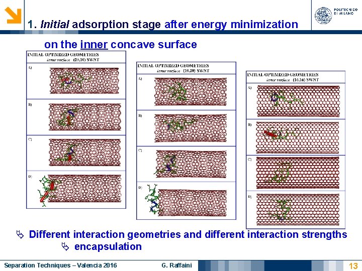 1. Initial adsorption stage after energy minimization on the inner concave surface Different interaction