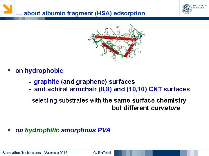 … about albumin fragment (HSA) adsorption § on hydrophobic - graphite (and graphene) surfaces