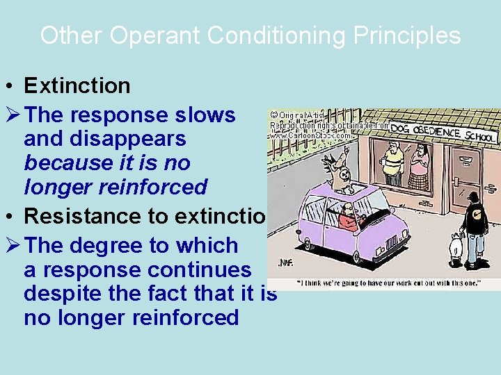 Other Operant Conditioning Principles • Extinction Ø The response slows and disappears because it